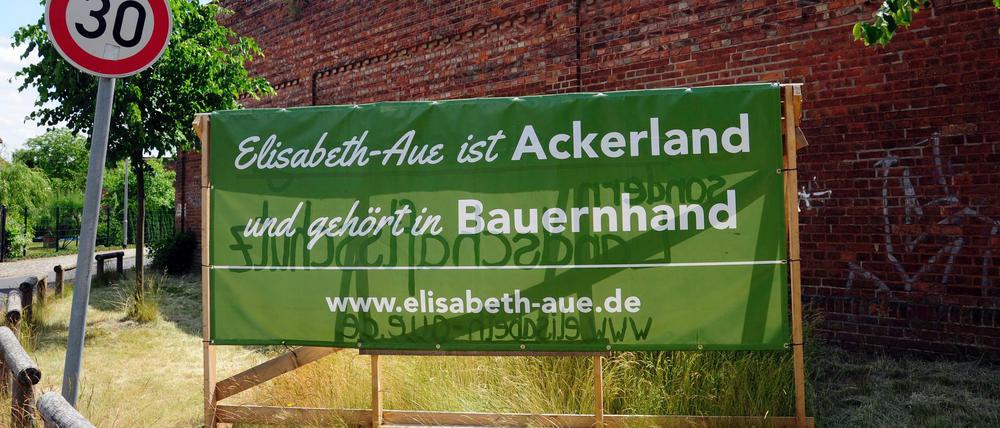 Protest gegen die Bebauung der Elisabeth-Aue. Beim Bauprojekt am Blankenburger Pflasterweg soll es besser laufen.