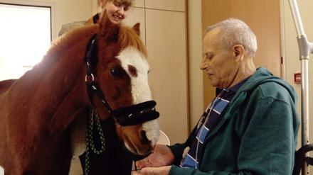 Viele Sinneseindrücke machen den Besuch des Ponys 13 zu einem großen Erlebnis für die Gäste des Hospizes in Wannsee