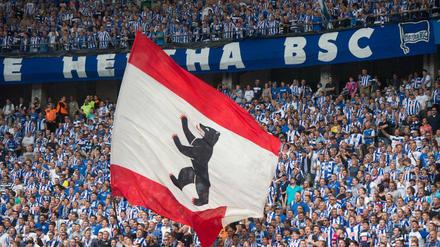 Blau-Weiße Hertha, keiner trifft so schön wie du ... tausende Fans machen sich auf den Weg nach Hoffenheim. 