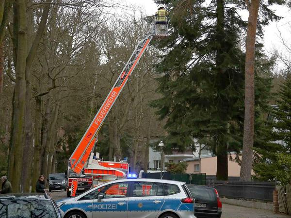 Die Feuerwehr ist in Berlin im Dauereinsatz. Um weitere Schäden möglichst zu verhindern, beschneidet sie auch Bäume, wie hier in der Heinsestraße in Tegel.