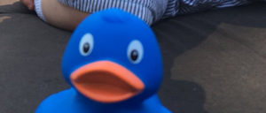 Das Objekt der Begierde. Die AfD in Berlin möchte eine blaue Ente verschenken. 