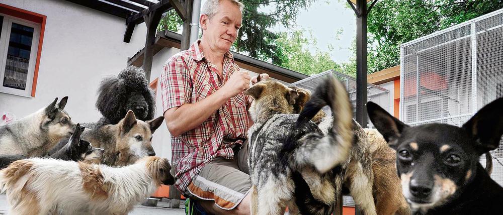 Voll lecker! Wenn Hartmut Benter Naschzeug an die Hundeschar verteilt, geht es ganz gesittet zu, denn für wilde Kämpfe sind die Tiere viel zu alt. 