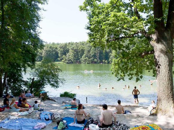 Badegäste liegen und baden am See Krumme Lanke, einer der populärste Seen Berlins.
