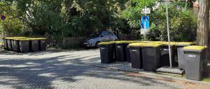 23-mal Müll auf dem Gehweg: Parade der gelben Tonnen am Zehlendorfer Eschershauser Weg.
