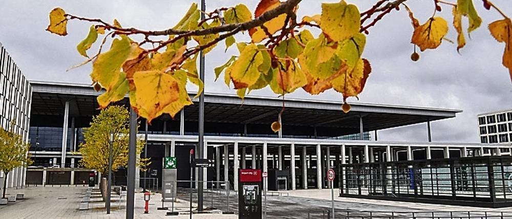 Herbstlich gefärbt ist das Laub der Lindenbäume vor dem Terminal des Hauptstadtflughafens BER.