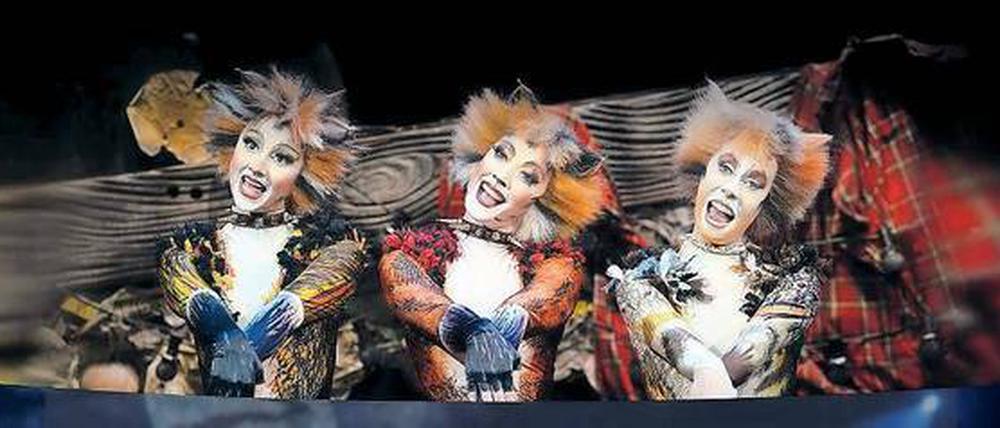 Miau. „Cats“, das als eines der erfolgreichsten Musicals gilt, läuft bis 19. August im Admiralspalast. Foto: promo