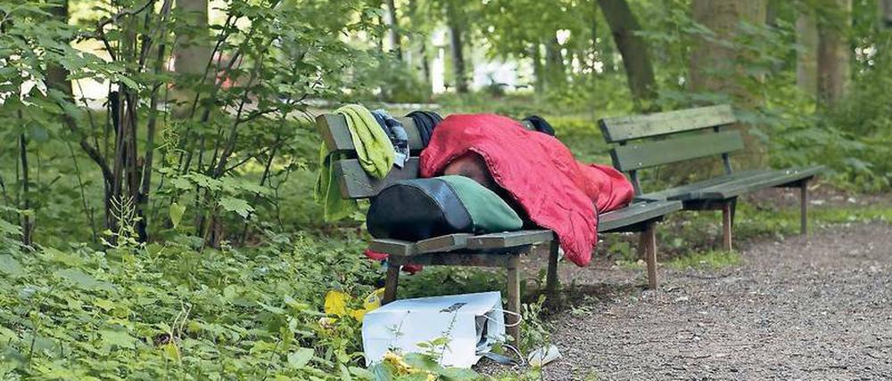 Einer von 50. Im Tiergarten übernachten aktuell viele Obdachlose.