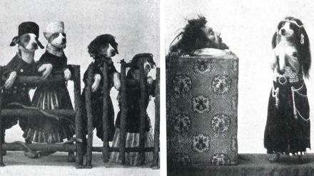 Dressierte Hunde in Kostümen spielen im Jahr 1909 das Stück "Die Entführung der Salome" im Berliner "Wintergarten"-Varieté. 