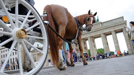 Haufenweise Ärger wegen der Kutschen: Die Pferdeäpfel stinken vielen Berlinern.