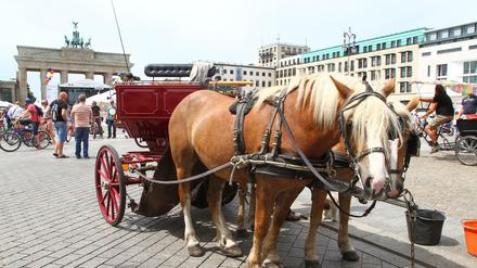 Pferdekutschen gehörten bisher zum Pariser Platz wie das Brandenburger Tor.