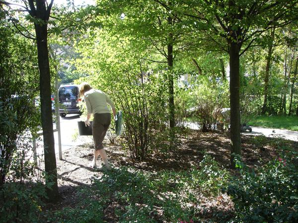 Am Pankeufer an der Weddinger Walter-Nicklitz-Promenade schleichen Pflanzenfreunde der Aktion "WE CARE" im Gebüsch