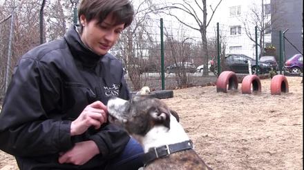 Auf mein Kommando. Simone Laube arbeitet mit Hunden, von schwer erziehbar bis Schoßhund. 