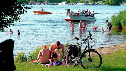 Badewiese im Park Babelsberg. Chillen, Planschen und Hinausschwimmen in die Havel, vor der Potsdamer Stadtkulisse. 