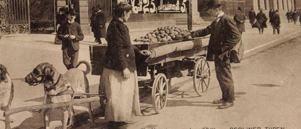 Zugpferde der Markthändler: Hundekarren mit Kartoffeln und Früchten, um 1911.