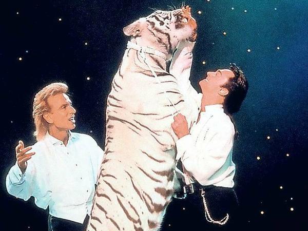 Die Magier Siegfried (links) und Roy mit einem ihrer weißen Tiger bei einem Auftritt in Las Vegas.