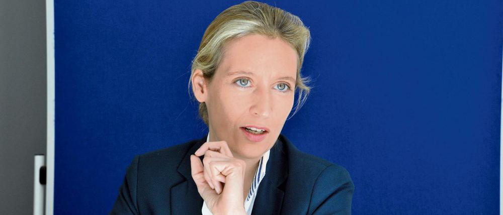 AfD-Spitzenkandidatin Alice Weidel gibt ihren Gerichtsstreit mit dem NDR auf