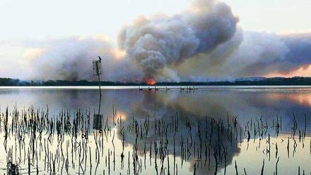Erst am Wasser kommt die Flammenwand zum Stehen. Das Foto wurde in New South Wales aufgenommen. 