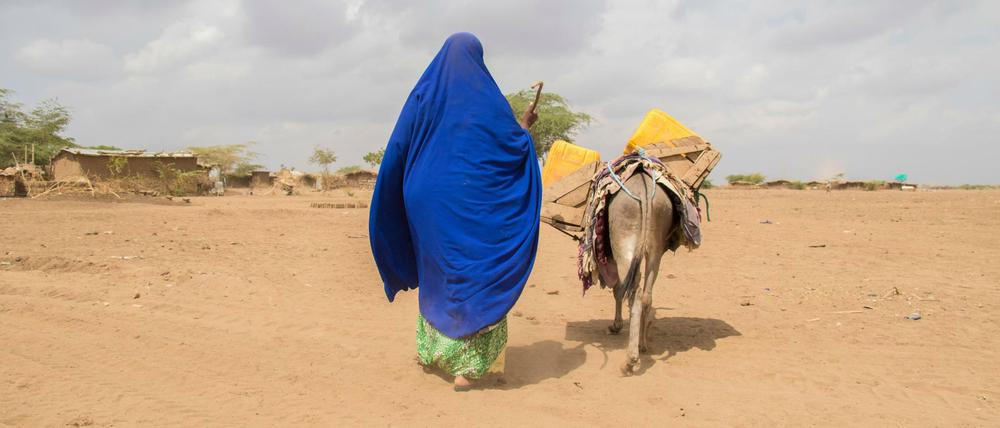 Die Nomaden im Grenzgebiet zwischen Somalia und Äthiopien leiden unter der Dürre. Hilfsorganisationen warnen vor Millionen Hungernden in Ostafrika. 