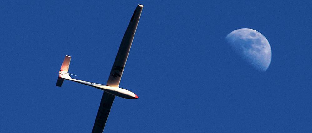 Ein Segelflugzeug fliegt nahe Oberbeuren (Schwaben) am strahlend blauem Himmel. (Symbolbild)