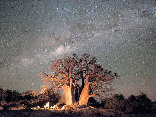 Sternengefunkel. Schöner als unter einem Baobab-Baum kann man kaum zelten.
