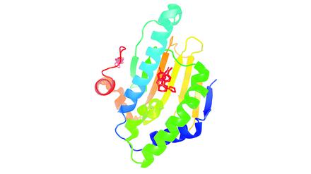 Struktur des Proteins HSP90, das besonders von Tumorzellen benötigt wird. Das kleine rote Molekül in der Mitte mit den sechseckigen Ringen könnte die Funktion von HSP90 hemmen. Es wurde mit Hilfe 
von Maschinellem Lernen gefunden.