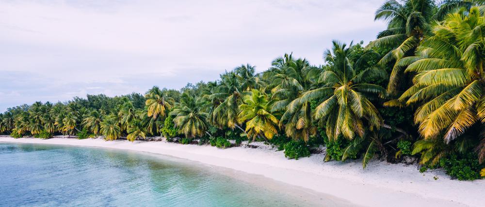 Am Strand der abgelegenen Seychellen-Insel Desroches.