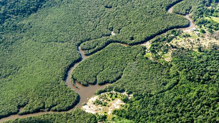 ARCHIV - 02.01.2023, Brasilien, Manaus: Ein kleiner Fluss schlängelt sich durch den Regenwald im Amazonasgebiet. Der weltweit größte tropische Regenwald wird von Tausenden Flüssen durchzogen. (Zu dpa «Bericht: Zerstörung von Wäldern weltweit hat 2022 zugenommen») Foto: Jens Büttner/dpa +++ dpa-Bildfunk +++