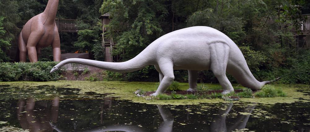 Nachbildungen eines Brachiosaurus (l.) und eines Diplodocus stehen im Saurierpark. 