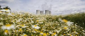 Wiesenblumen vor Kühltürmen: Das Atomkraftwerk Temelin in Tschechien.