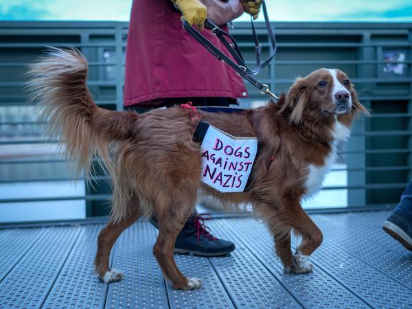 „Dogs against Nazis“ - In Berlin demonstrierten am 21. Januar 2024 auch Hunde gegen Rechtsextremismus.