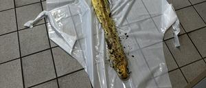  Eine Schlange, die tot in der Hasenheide in Berlin-Neukölln gefunden wurde, liegt ausgebreitet auf einem Fußboden in der Veterinärmedizin des Bezirksamts.