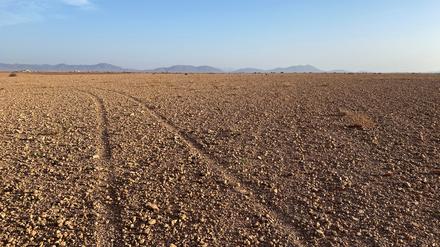 Ein ausgetrocknetes Feld nahe Marrakech, Marokko.