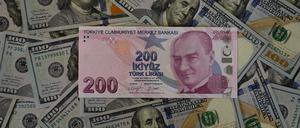Die türkische Lira.