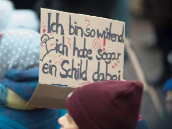 Individualisten in Flensburg: „Ich bin so wütend, ich habe sogar ein Schild dabei“, meint ein Demosntarnt am 21. Januar 2024 am Südermarkt.