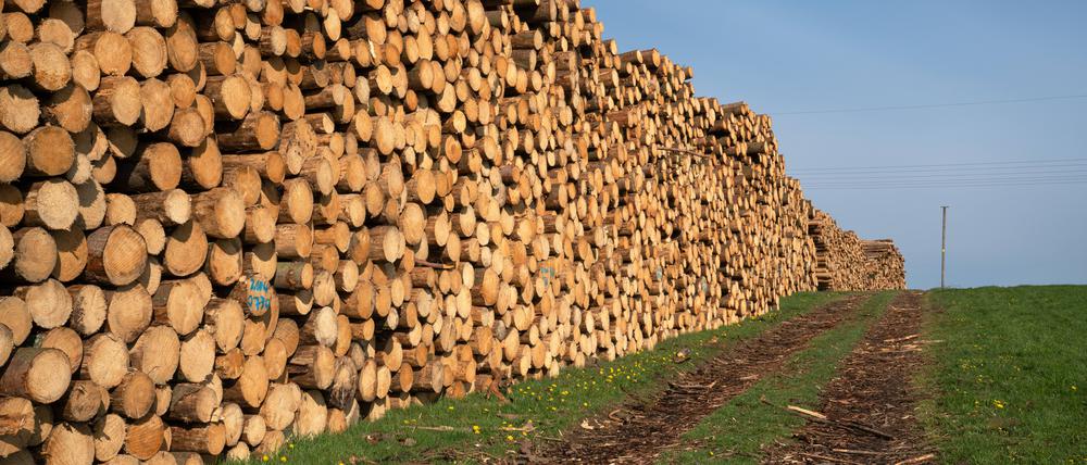 Die Holz- und Landwirtschaft sowie die Papierindustrie: haben ihre Preise stärker erhöht als ihre Kosten gestiegen sind.