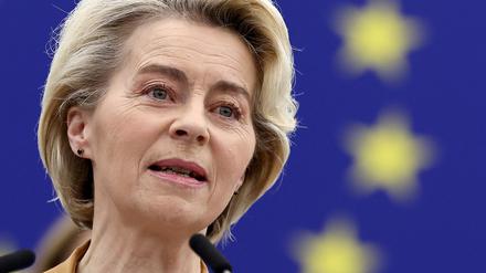 EU-Kommissionschefin Ursula von der Leyen spricht am 6. Februar 2024 im Europäischen Parlament in Straßburg.