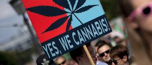 Demonstrant mit Plakat Yes We Cannabis, Symbolbild
