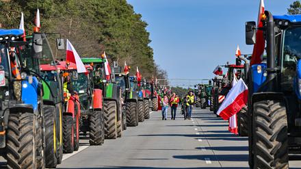 25.02.2024, Polen, Slubice: Landwirte aus Polen sind auf der Autostrada A2 (Europastraße 30) mit ihren Fahrzeugen in Richtung der deutsch-polnischen Grenze (Frankfurt/Oder) unterwegs. 