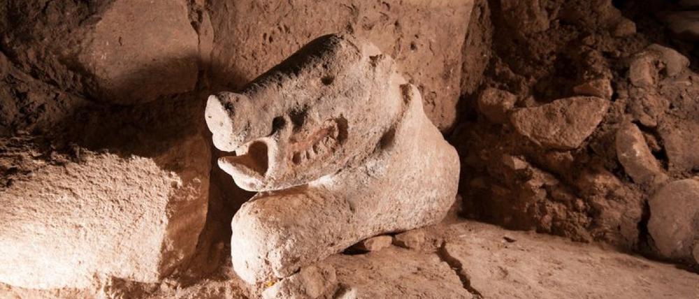 Gut getroffen: Ein Stein-Wildschwein in Lebensgröße, gefunden im Unesco-Welterbe Göbekli Tepe, an dem bis heute geforscht wird.