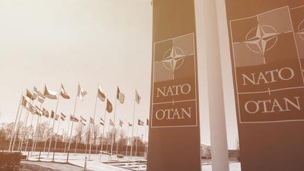 Die Nato feiert Geburtstag. Experten analysieren, wie es für das Bündnis weitergeht.