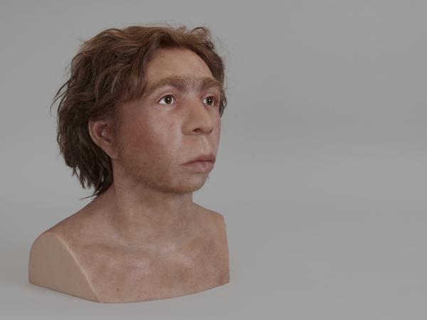 Die Rekonstruktion des jugendlichen Neandertalers aus dem unteren Felsüberhang von Le Moustier.