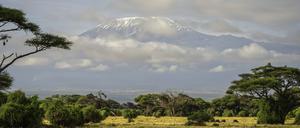 Der Kilimandscharo.