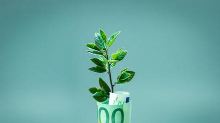 Grün ist die Hoffnung: Echt nachhaltige Geldanlagen sind (noch) selten.