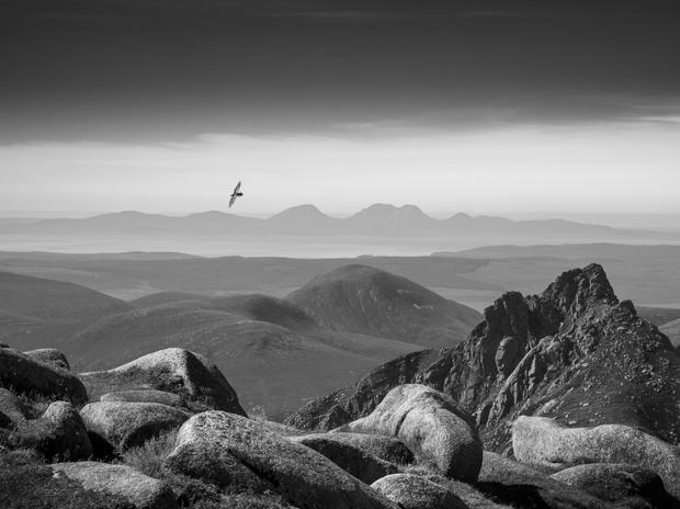 Robin Dodd gewann in der Kategorie „Black and White“ mit dem Foto eines Raben, der über die schottische Isle of Arran fliegt.