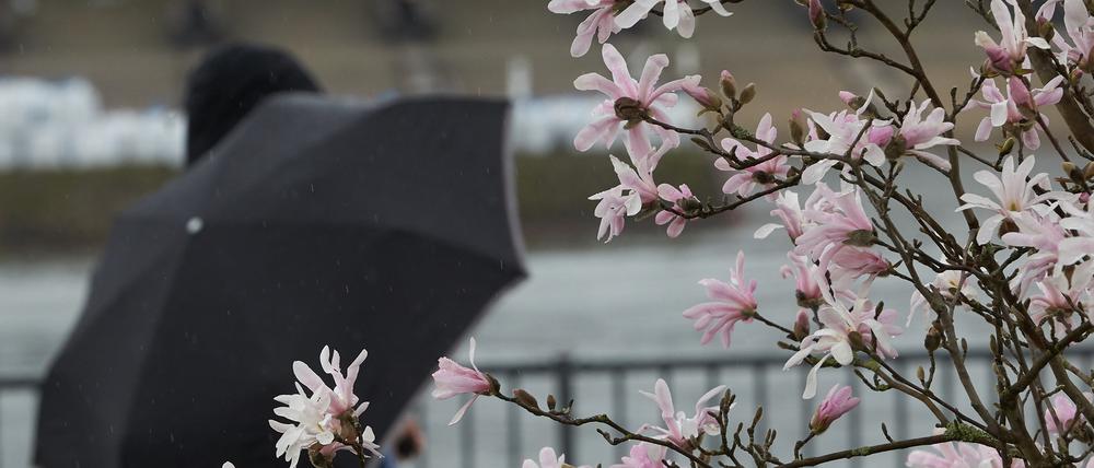 Ein Schwung höhenkalter Luft beschert uns derzeit ein typisches Aprilwetter im März“, sagte Sebastian Schappert vom Deutschen Wetterdienst (DWD).