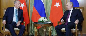 Erdogan und Putin erneuern in Sotschi ihr enges Verhältnis.