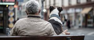 Ein Mann und ein Hund sitzen am Rande der Innenstadt gemeinsam auf einer Bank, beobachten die Straßenszenerie und lassen Verkehr und Menschen an sich vorbeiziehen.