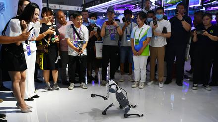 Vorstellung eines intelligenten Roboterhunds während einer internationalen Digitalkonferenz in China. Die Entwicklung künstlicher Intelligenz macht rasante Fortschritte.
