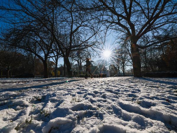 Auch bei strahlendem Sonnenschein bleibt der Schnee im Stadtpark in Hamburg liegen. 