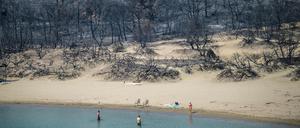 Ein Strand nahe der Ortschaft Gennadi auf Rhodos, in dem zehn Tage nach Ausbruch schwerer Waldbrände die Aufräumarbeiten begonnen haben.